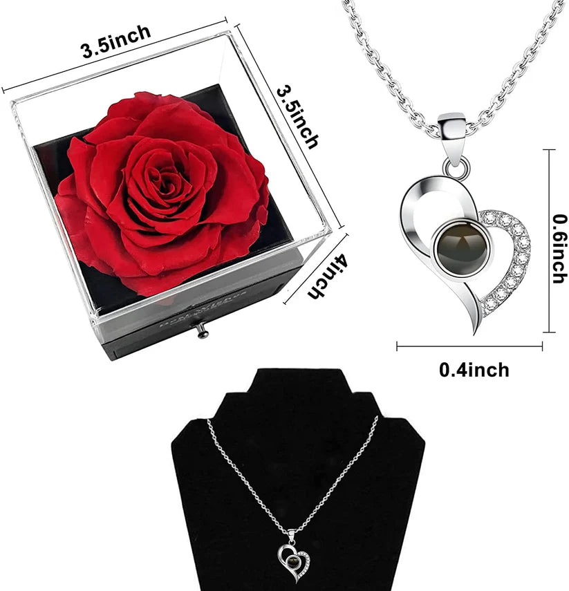 Real Preserved Rose Box + Engraved Necklace