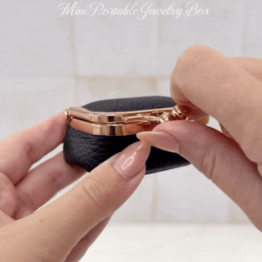Mini Portable Jewellery Box
