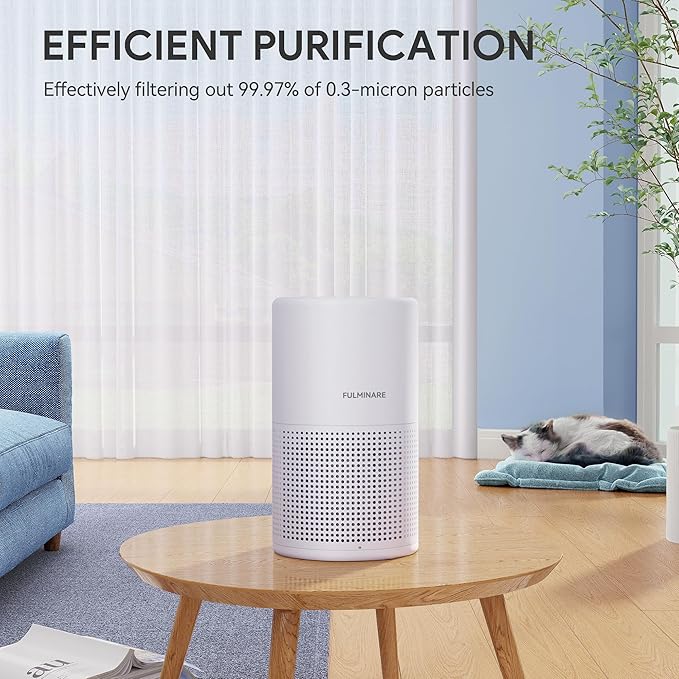 Pet Air Purifier