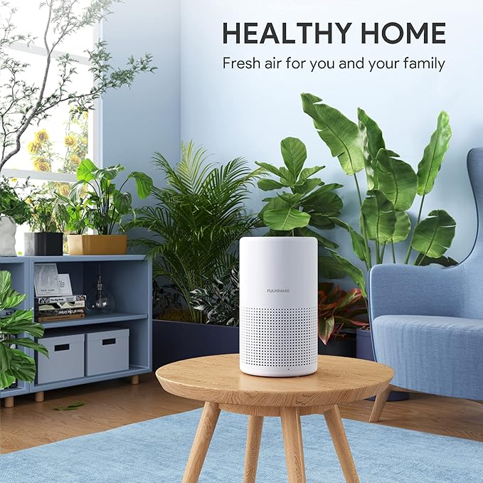 Pet Air Purifier