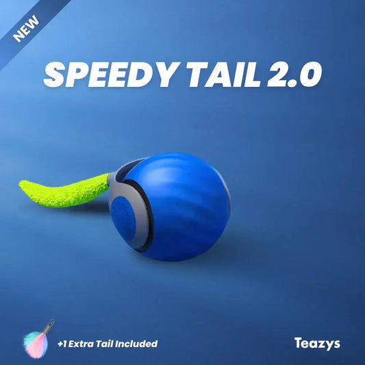 Speedy Tail Cat Toy