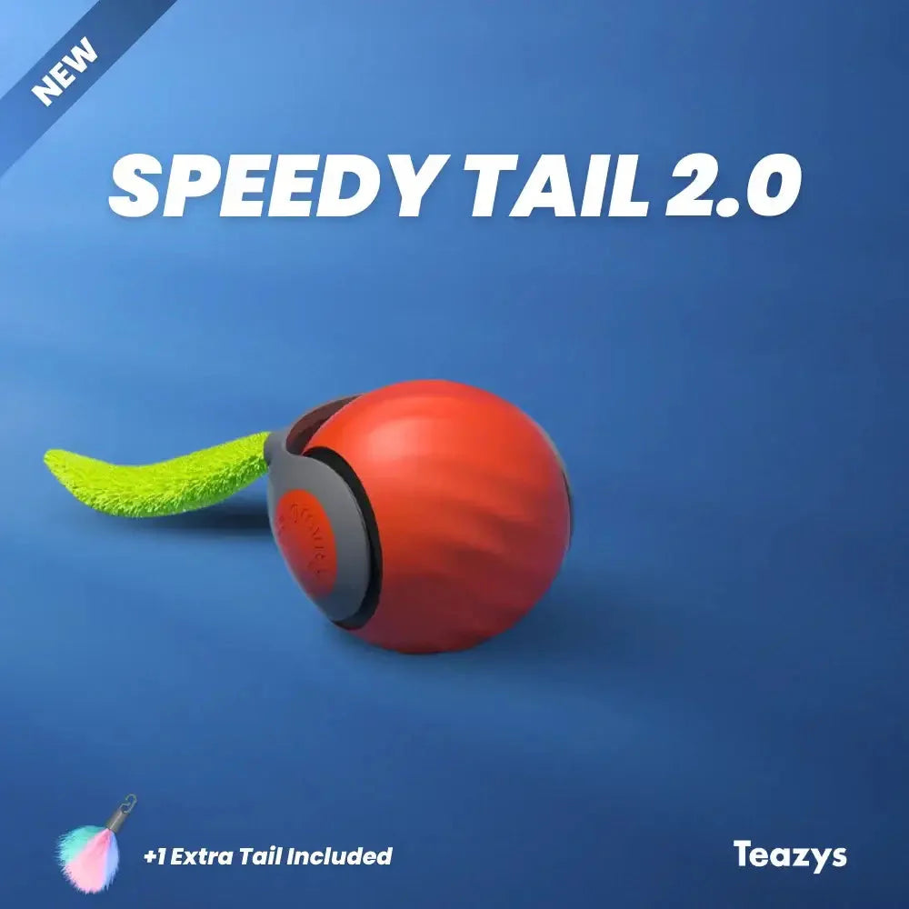 Speedy Tail Cat Toy