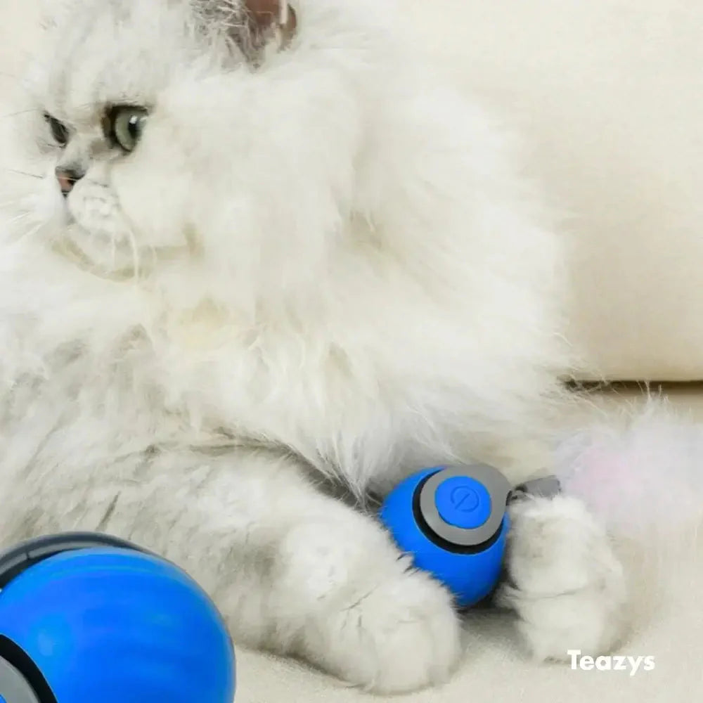 Speedy Tail Cat Toy