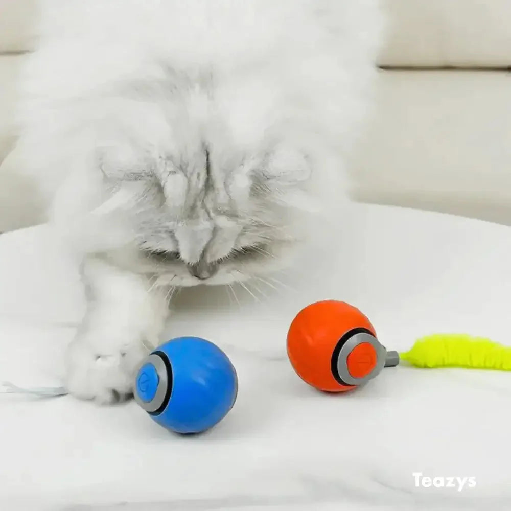 Speedy Tail Cat Toy