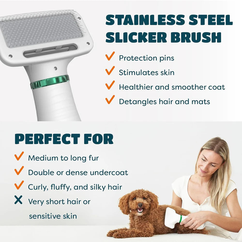 Pet Grooming Dryer Brush Combo